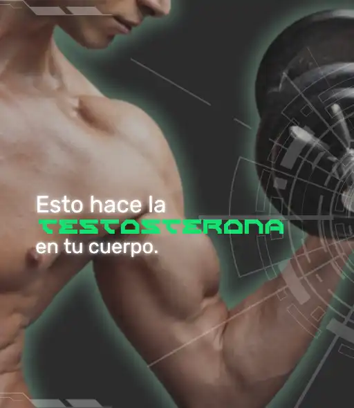 TIPOS DE TESTOSTERONA e que função ela desempenha